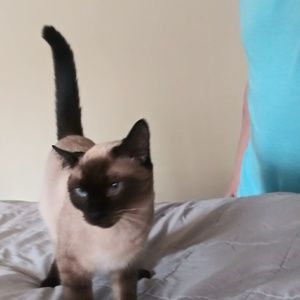 Meet your Posher, Sherry